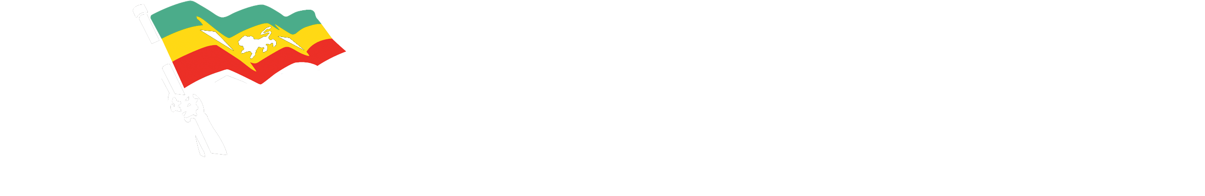 logo-light